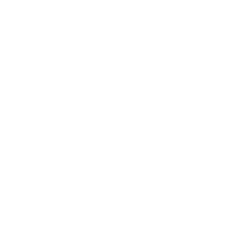 骨